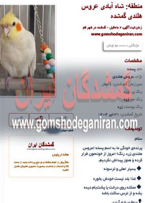 در منطقه شاه آبادی قم عروس هلندی گمشده پیدا شد