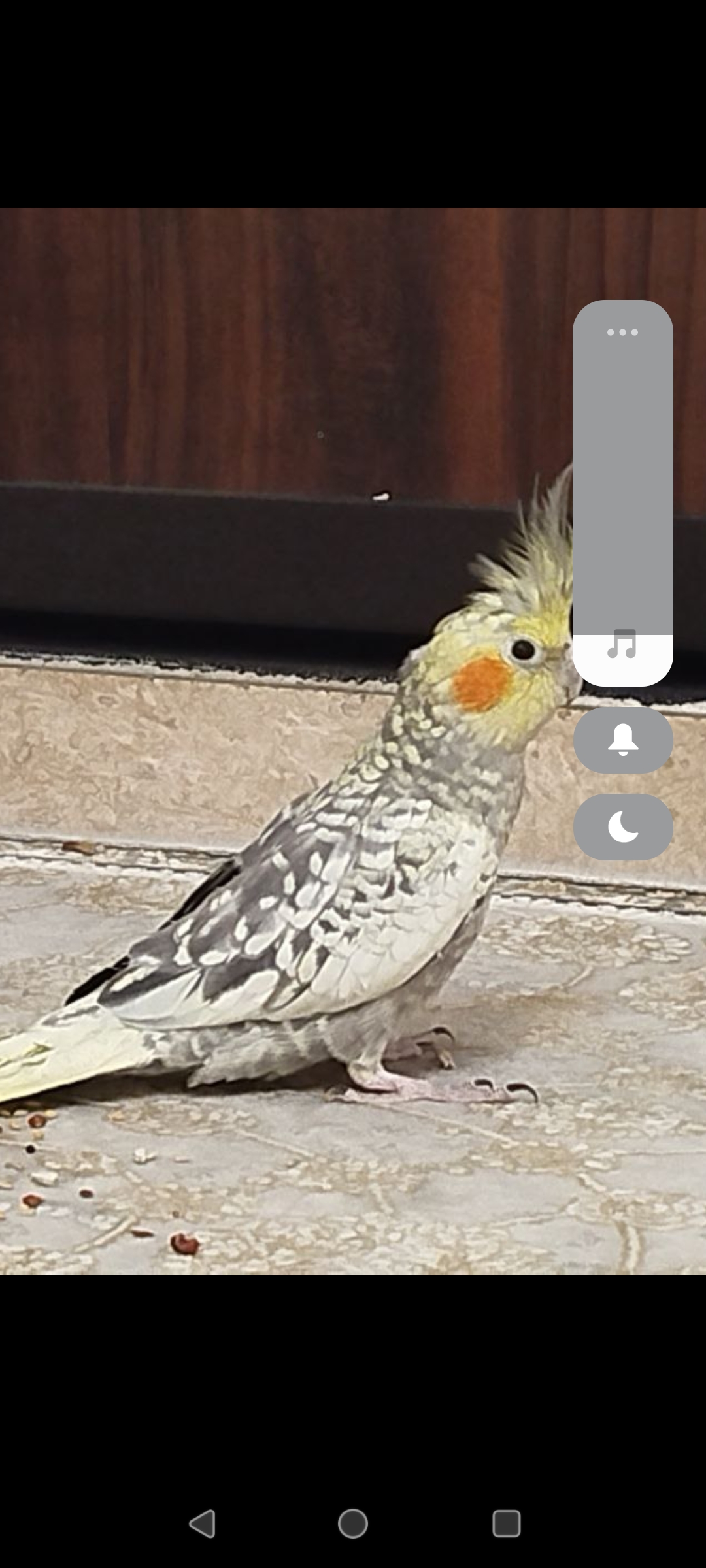 از یابنده خواهشمندم جهت تحویل و دریافت مژدگانی تماس بگی