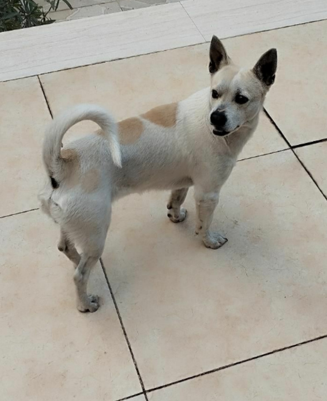 سگم قلعه گنج روستای سرتک گمشده