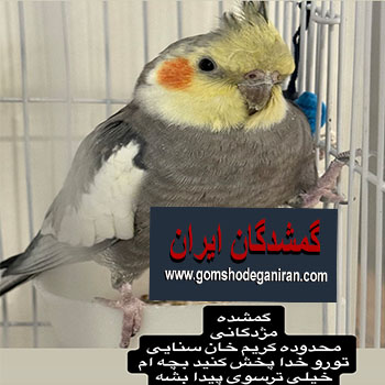 کریم خان 21 خرداد گمشده - عروس هلندی گم شده تهران