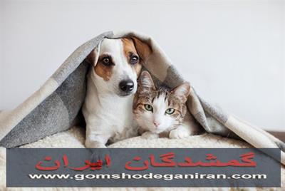 واگذاری حیوانات خانگی  و واگذاری حیوانات مزرعه در محیط امن و پایدار واگذاری حیوانات خانگی  و واگذاری حیوانات مزرعه در محیط امن و پایدار