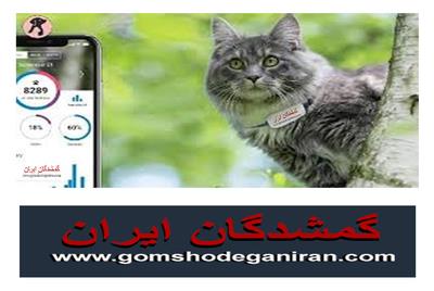 مهم‌ترین خصوصیات ردیاب حیوانات که باید بدانید!